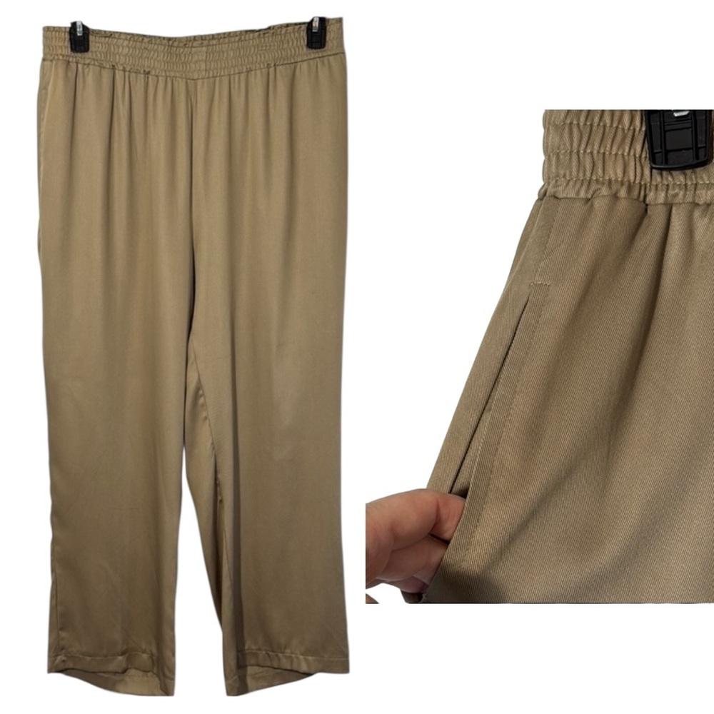 Skye's the Limit Pants Tan Wide Leg Pull On in Size 1X NWT